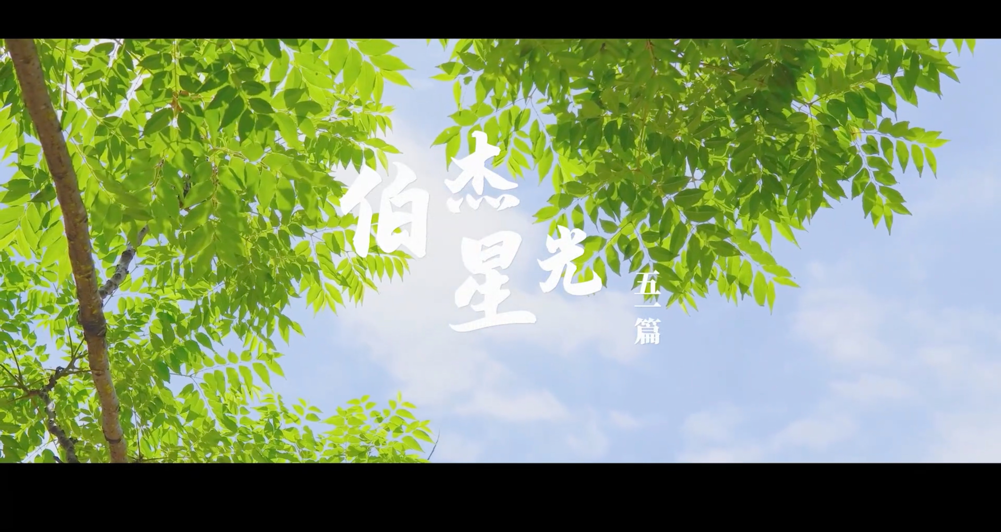 1.伯杰星光五一篇封面图.jpeg