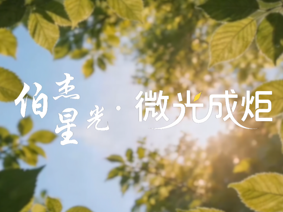 视频封面.png